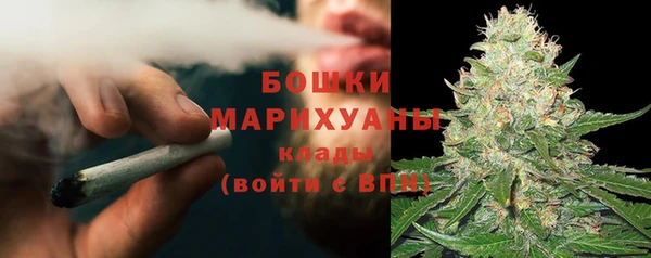 хмурый Дмитров