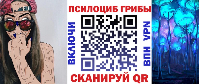 дарк нет Telegram  Сосенский  Псилоцибиновые грибы прущие грибы 